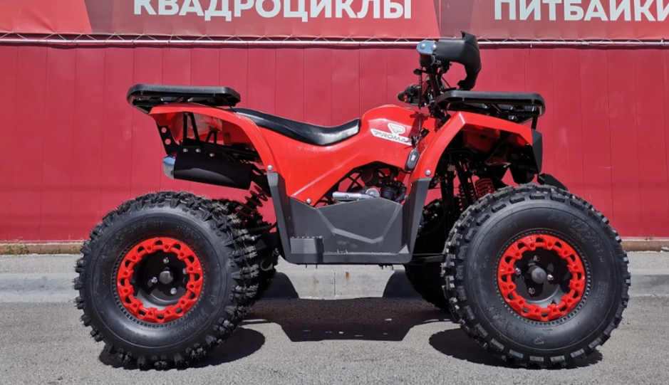 Квадроцикл PROMAX WILD 175 BASIC в Северодвинске