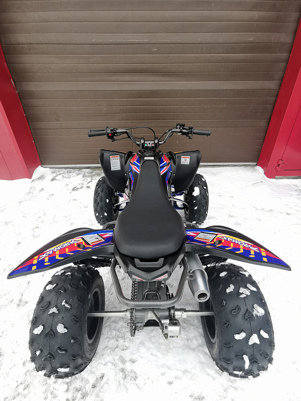 Квадроцикл PROMAX RAPTOR 300 NEW RedBull в Северодвинске