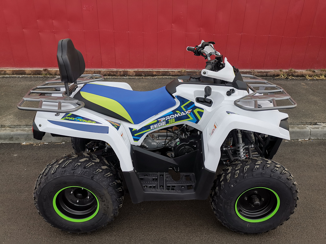 Квадроцикл PROMAX RENEGADE 280 LUX (2025) в Северодвинске
