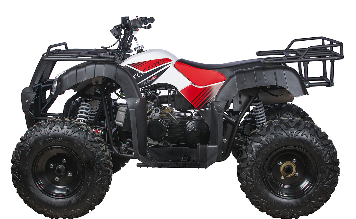 Квадроцикл YACOTA SELA 200 в Северодвинске