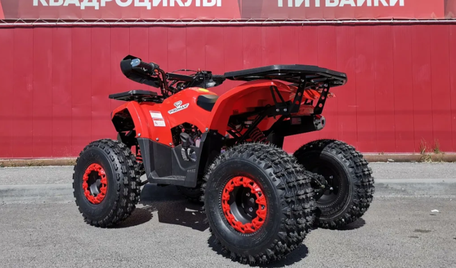 Квадроцикл PROMAX WILD 175 BASIC в Северодвинске