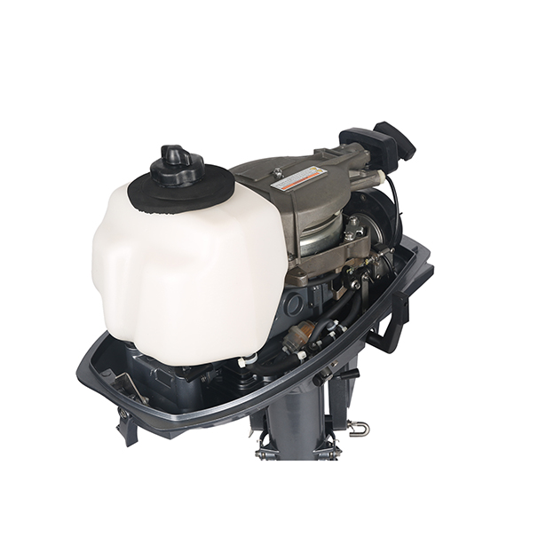 ЛОДОЧНЫЙ МОТОР ALLFA CG T5 в Северодвинске