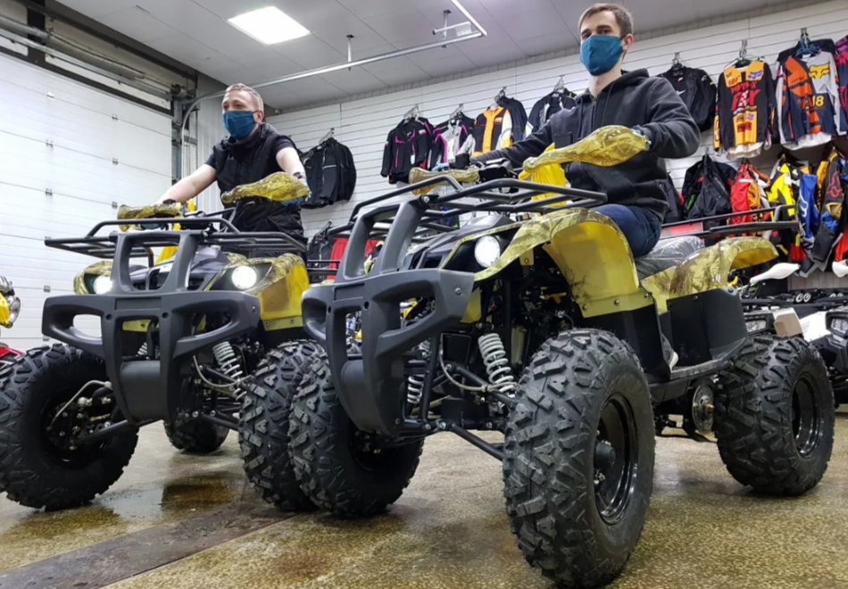 Квадроцикл PROMAX ATV 250 (2025) в Северодвинске