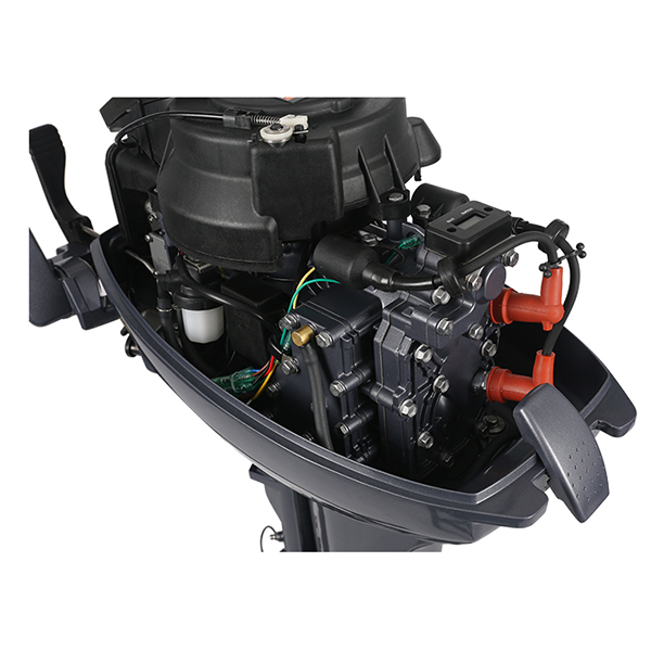 ЛОДОЧНЫЙ МОТОР ALLFA CG Т9,9 Limit в Северодвинске