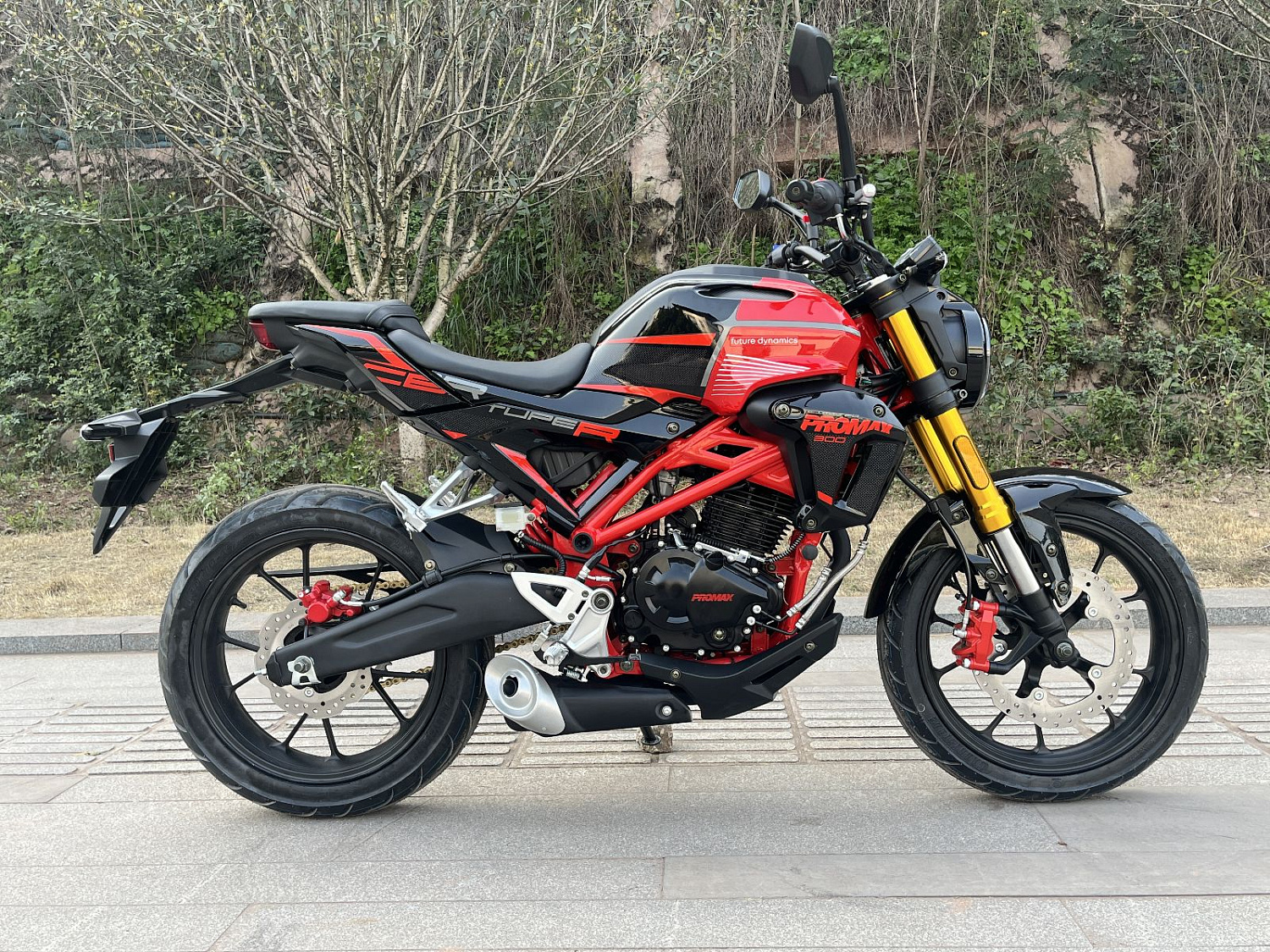 Мотоцикл PROMAX CB300RL (4V, 6G) в Северодвинске