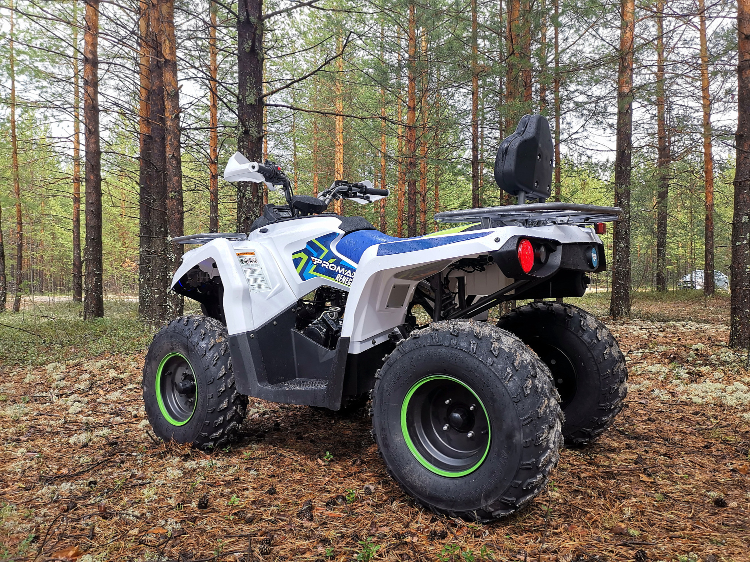 Квадроцикл PROMAX RENEGADE 280 (2025) в Северодвинске