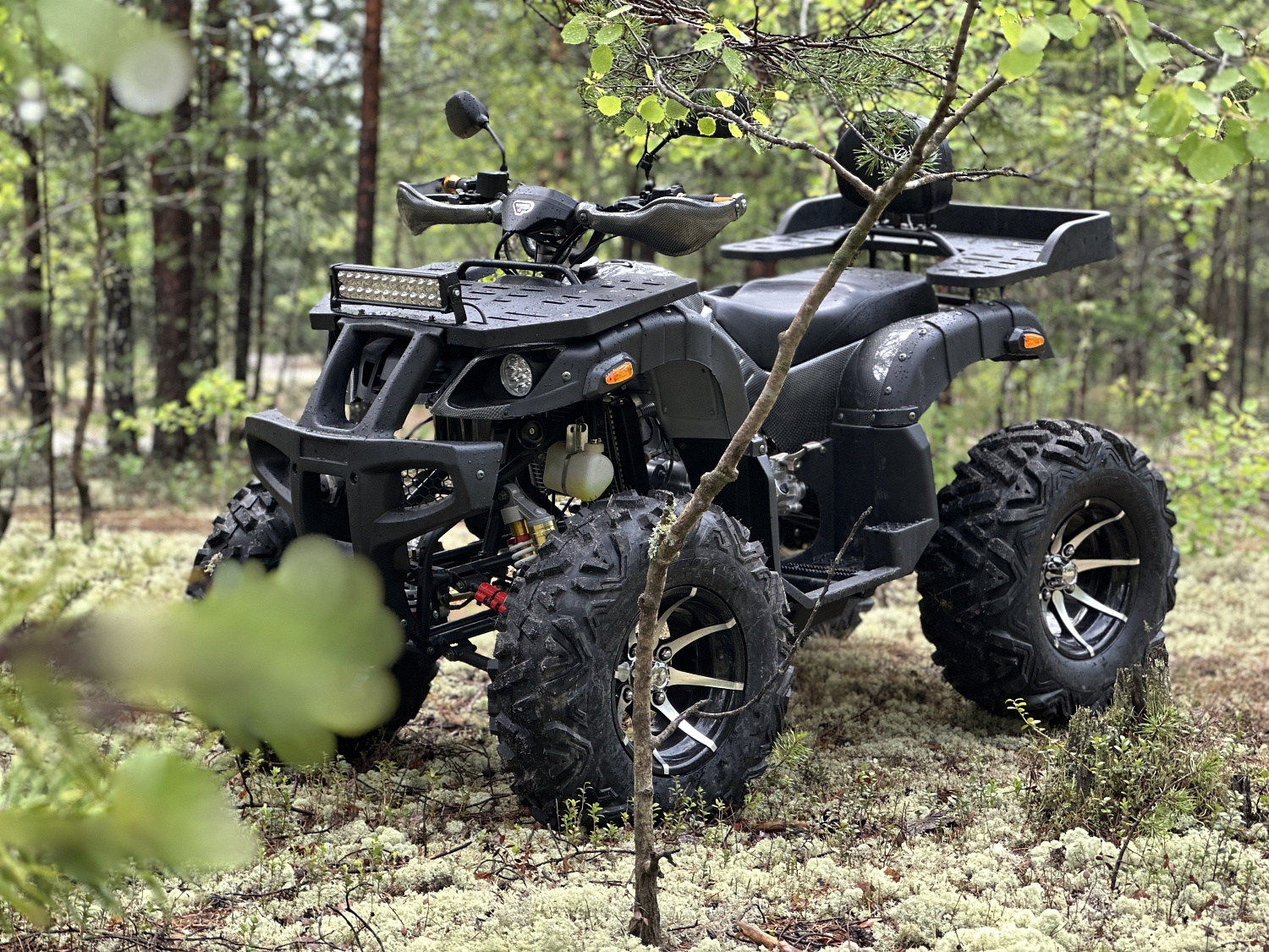 Квадроцикл PROMAX 320 DOMINATOR (2025) в Северодвинске