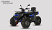 Квадроцикл PROMAX TAURUS 300 MAX-PRO LONG в Северодвинске