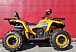 Квадроцикл PROMAX STORM 280 LUX в Северодвинске