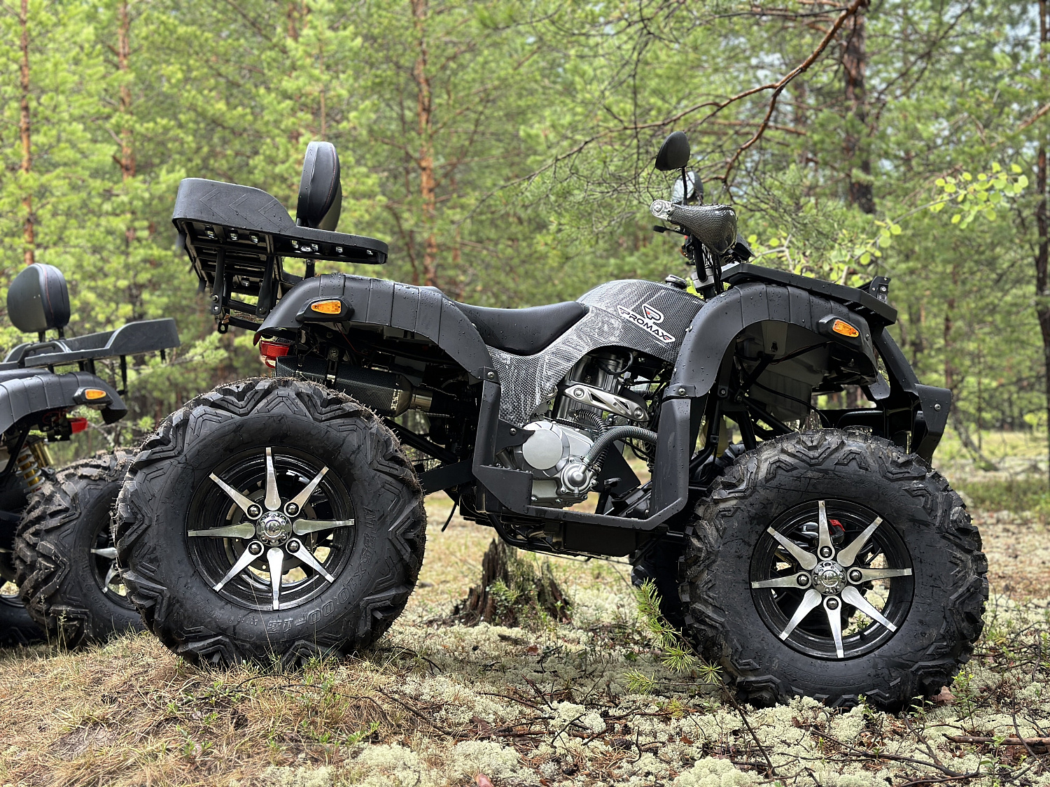 Квадроцикл PROMAX 320 DOMINATOR (2025) в Северодвинске