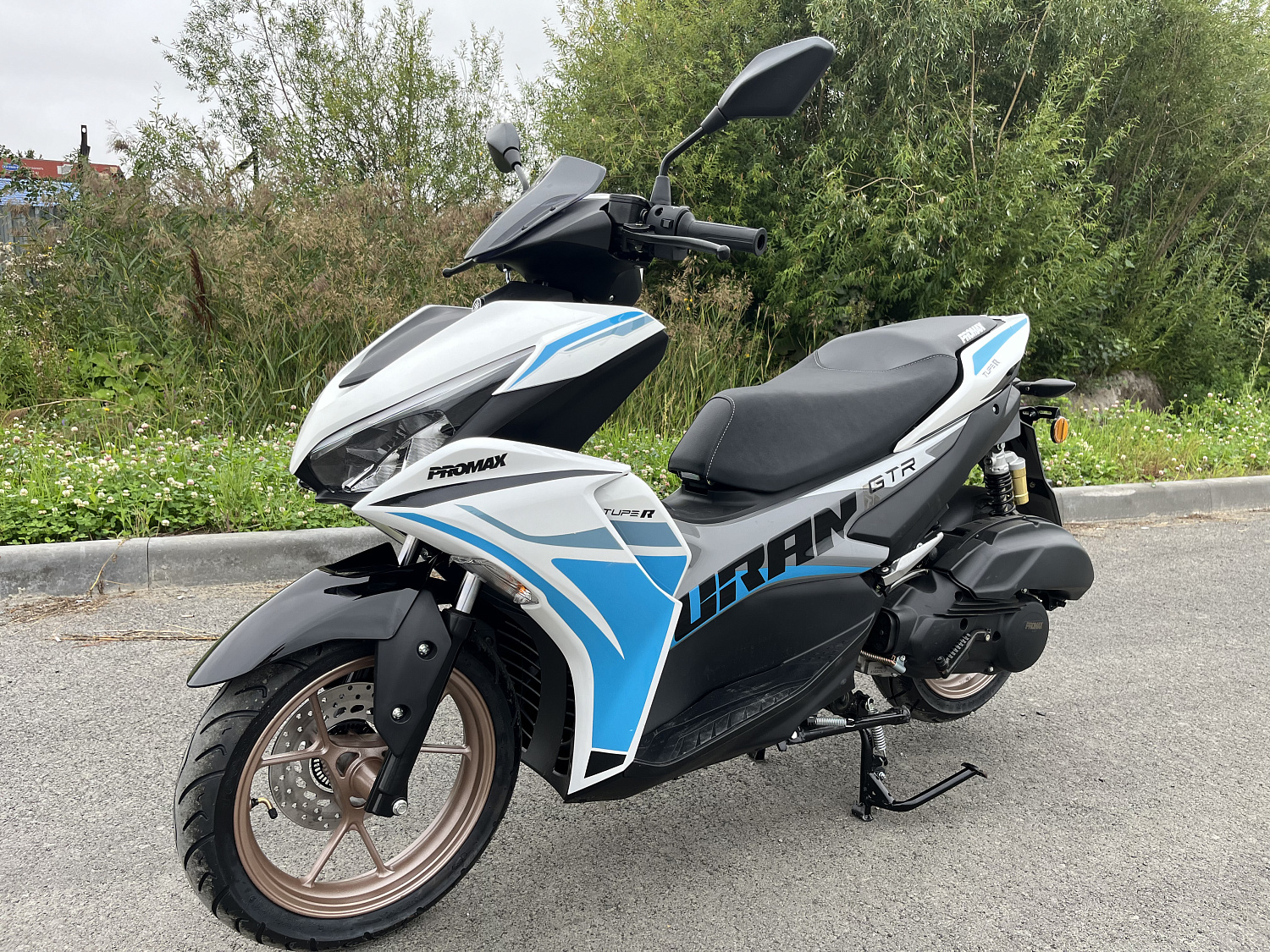 Скутер PROMAX TURAN 250 (49) в Северодвинске