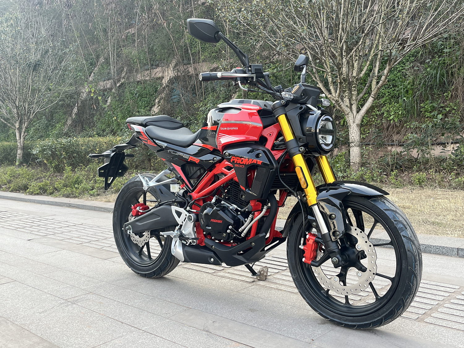 Мотоцикл PROMAX CB300 в Северодвинске