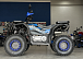 Квадроцикл PROMAX TAURUS 300 в Северодвинске
