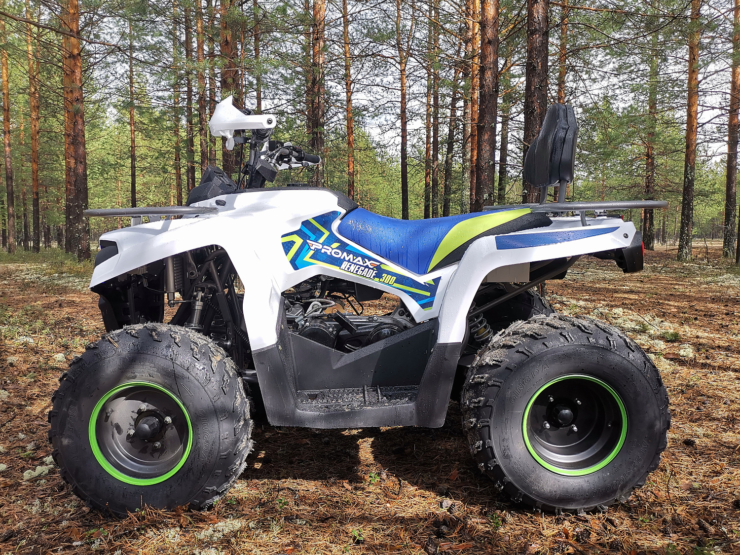 Квадроцикл PROMAX RENEGADE 280 (2025) в Северодвинске