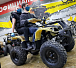 Квадроцикл PROMAX ATV 250 (2025) в Северодвинске