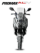 МаксиСкутер PROMAX-HONDA ADV 150 (49) (Inspired by HONDA) в Северодвинске