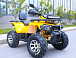 Квадроцикл MOTOLAND (МОТОЛЕНД) VOX200 WILD TRACK X PRO (баланс. вал) в Северодвинске