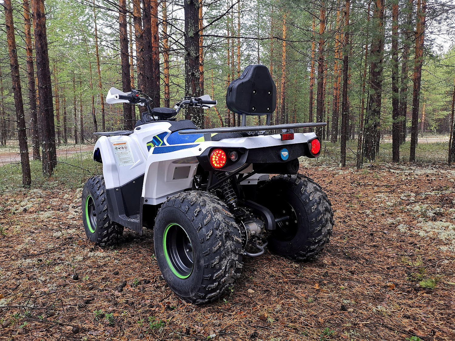 Квадроцикл PROMAX RENEGADE 280 (2025) в Северодвинске