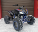 Квадроцикл PROMAX RAPTOR 300 NEW RedBull в Северодвинске