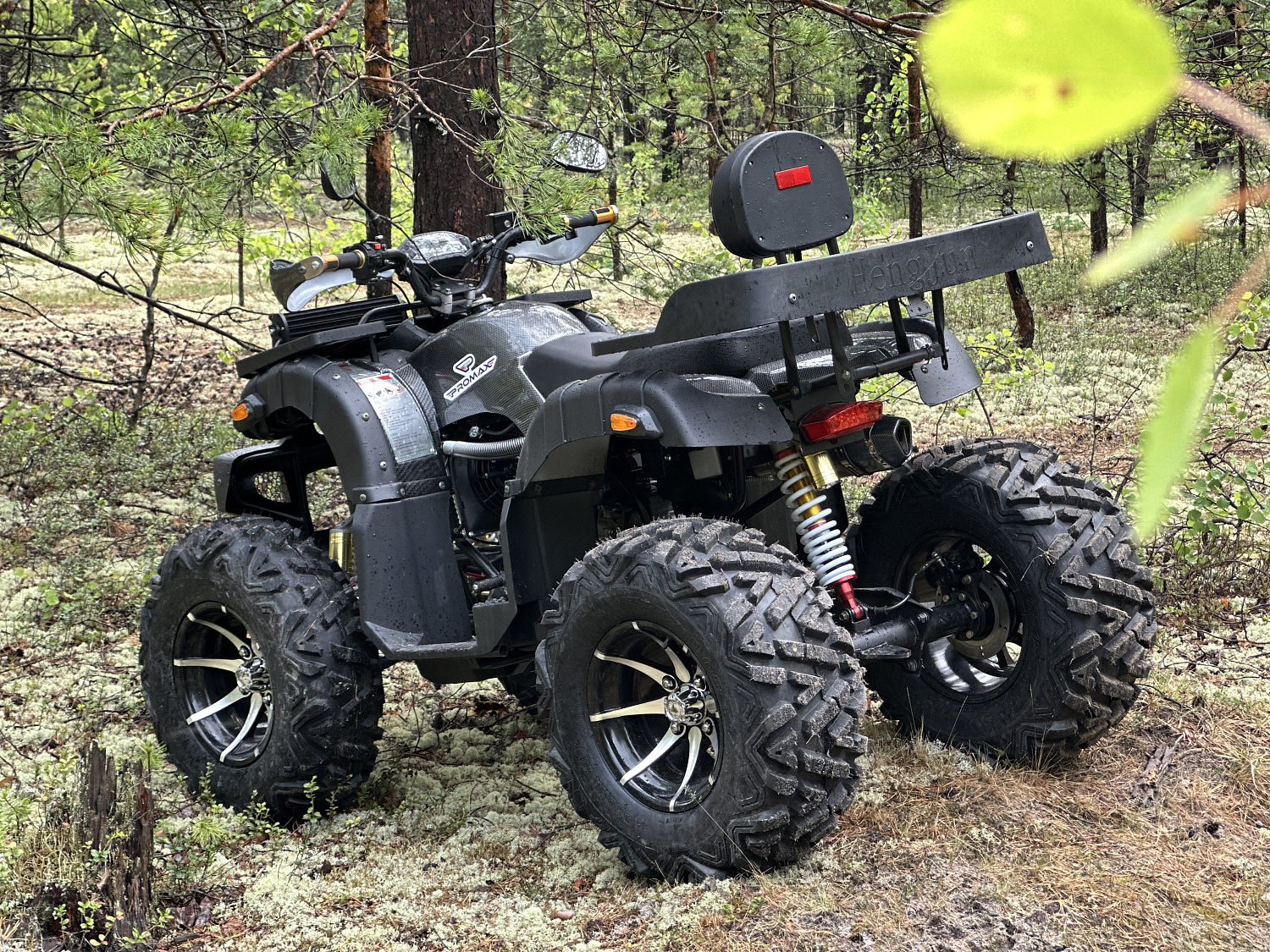 Квадроцикл PROMAX 320 DOMINATOR (2025) в Северодвинске