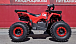 Квадроцикл PROMAX WILD 175 BASIC в Северодвинске