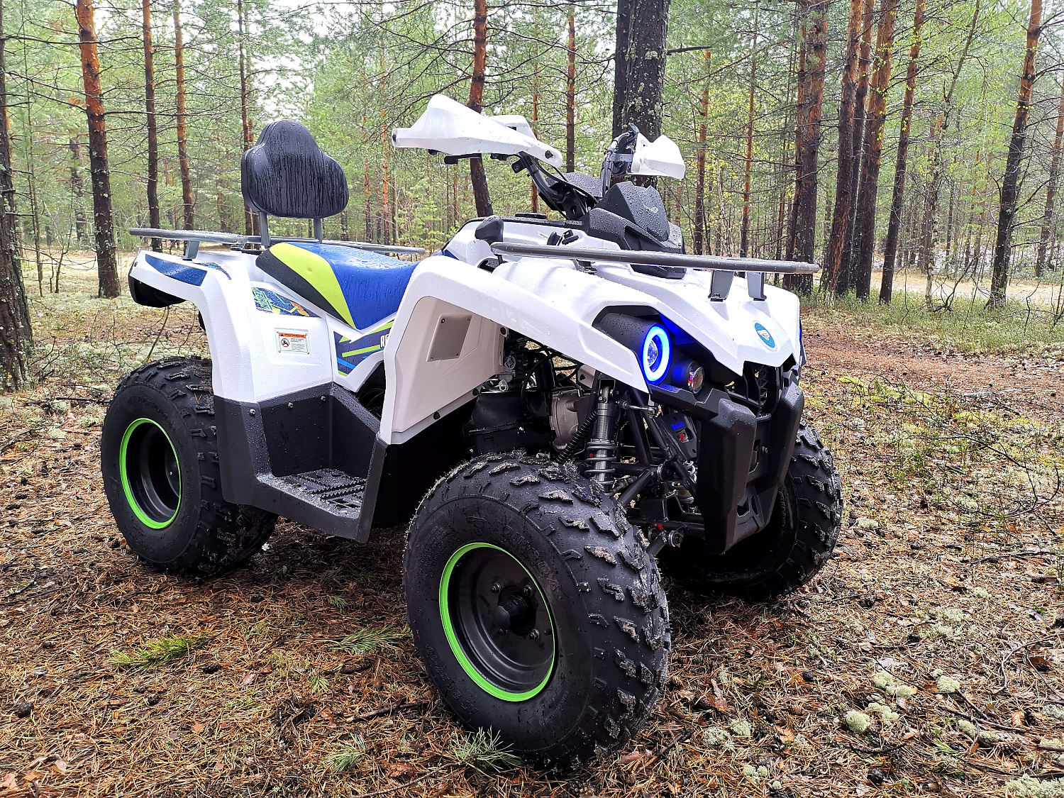 Квадроцикл PROMAX RENEGADE 280 (2025) в Северодвинске