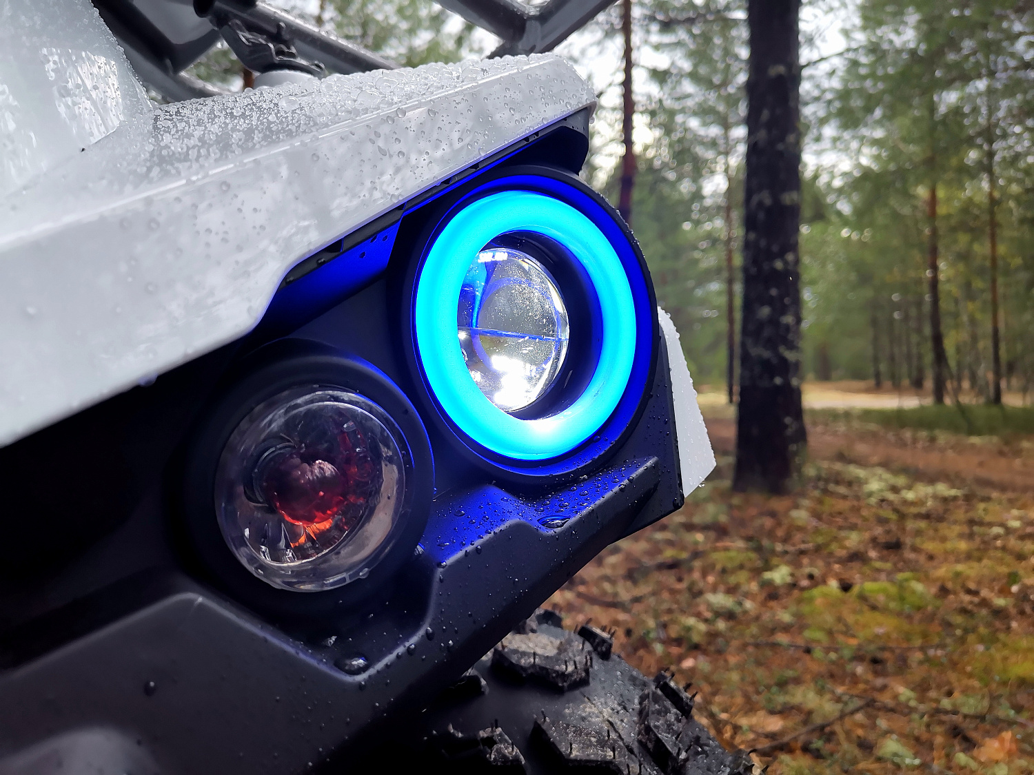 Квадроцикл PROMAX RENEGADE 280 (2025) в Северодвинске