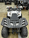 Квадроцикл PROMAX WILD 2.0 190 в Северодвинске