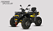 Квадроцикл PROMAX TAURUS 300 MAX-PRO LONG в Северодвинске