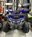 Квадроцикл PROMAX WILD 2.0 190 PRO (2025) в Северодвинске